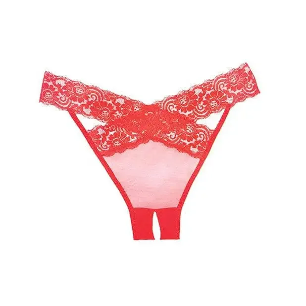 Adore 'Desire' Sheer & Lace Panty