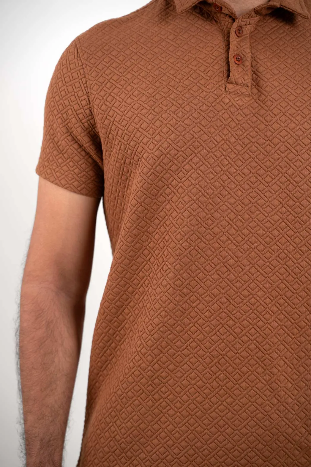 Boldman Pro Brown Polo Tshirt  For Men