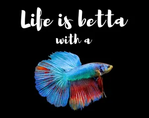 Life is Betta with a Betta Heavy Cotton T-Shirt