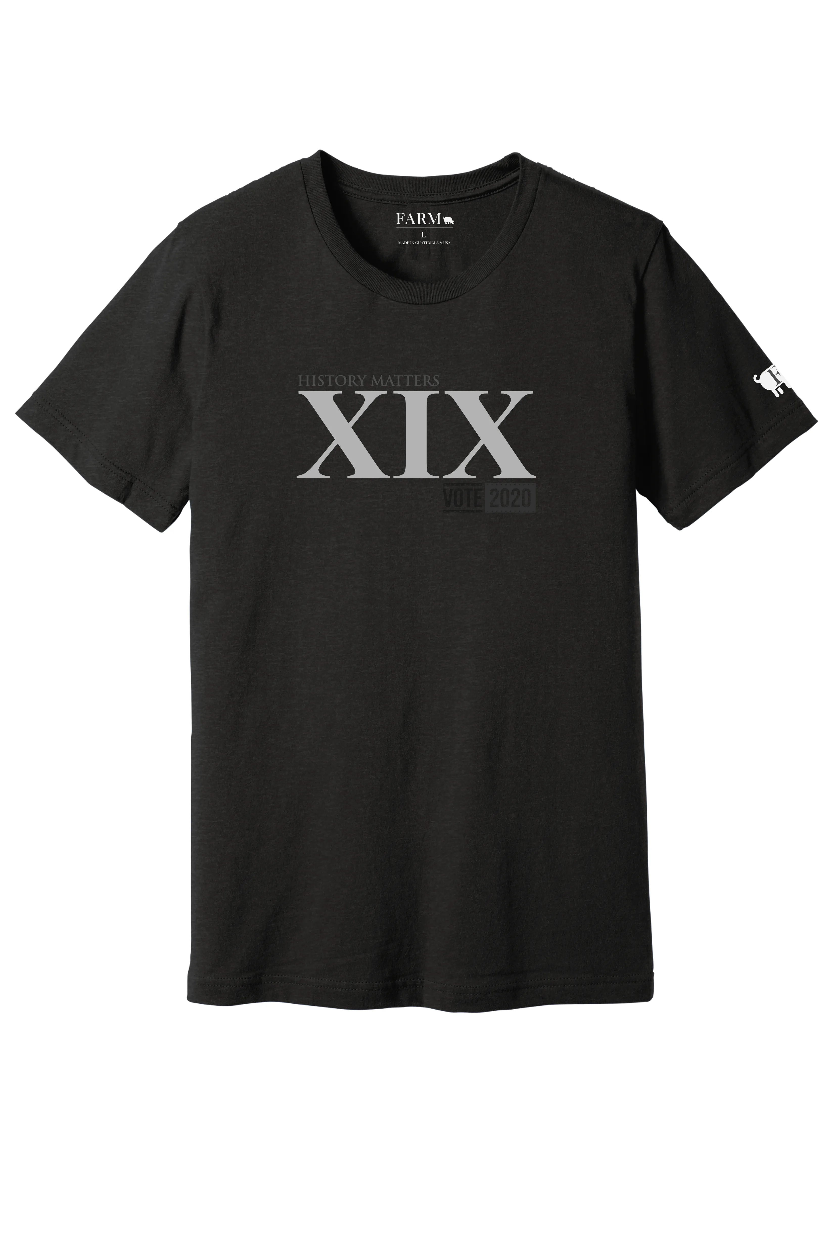 XIX History Matters Nineteenth Amendment T-Shirt Adult