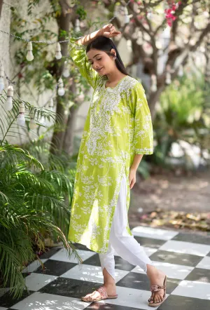 Zainab Chikankari Mulmul Straight Kurti